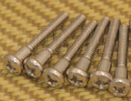 Tornillos Pickpup Stratocaster